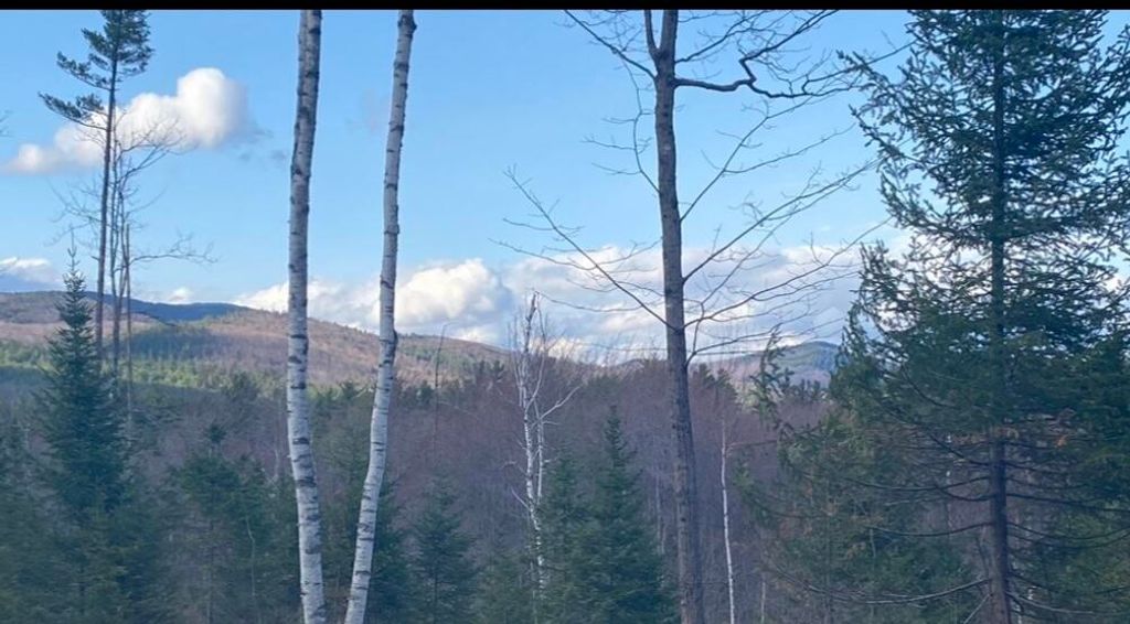 Photo of Lot 1 Fleming Road, Bethel, ME 04217 (MLS # 1659616)