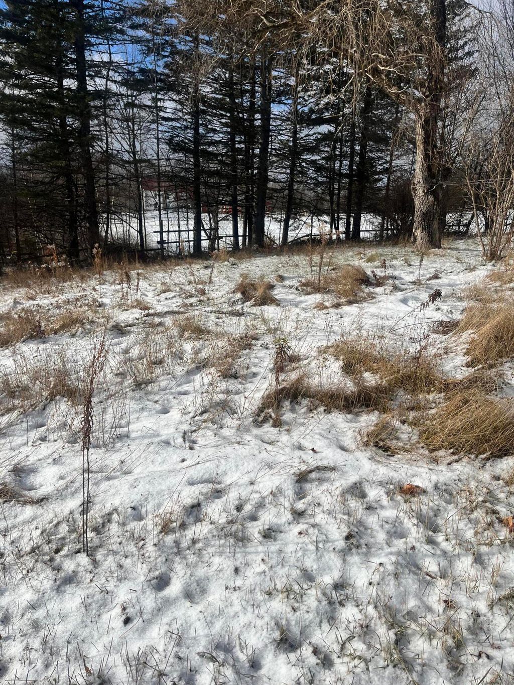 Photo of 106 Woodbridge Corner Road, Sherman, ME 04776 (MLS # 1646489)