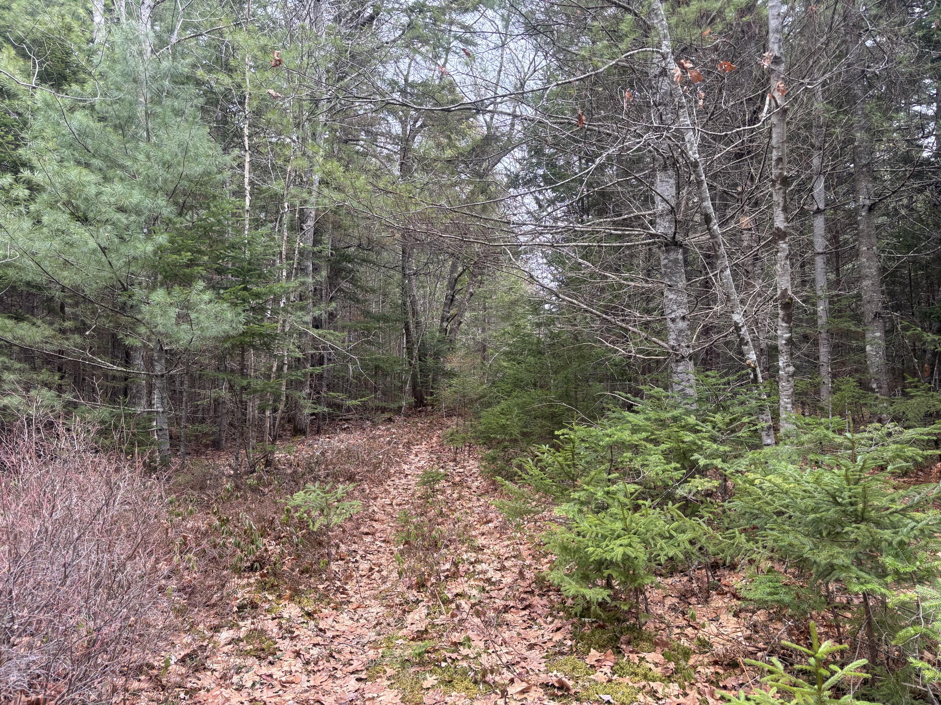 M11L17&17C Rogers Point Road