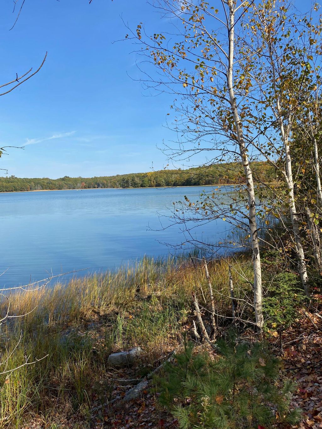 Photo of 0 S Bay Road, Franklin, ME 04634 (MLS # 1649626)