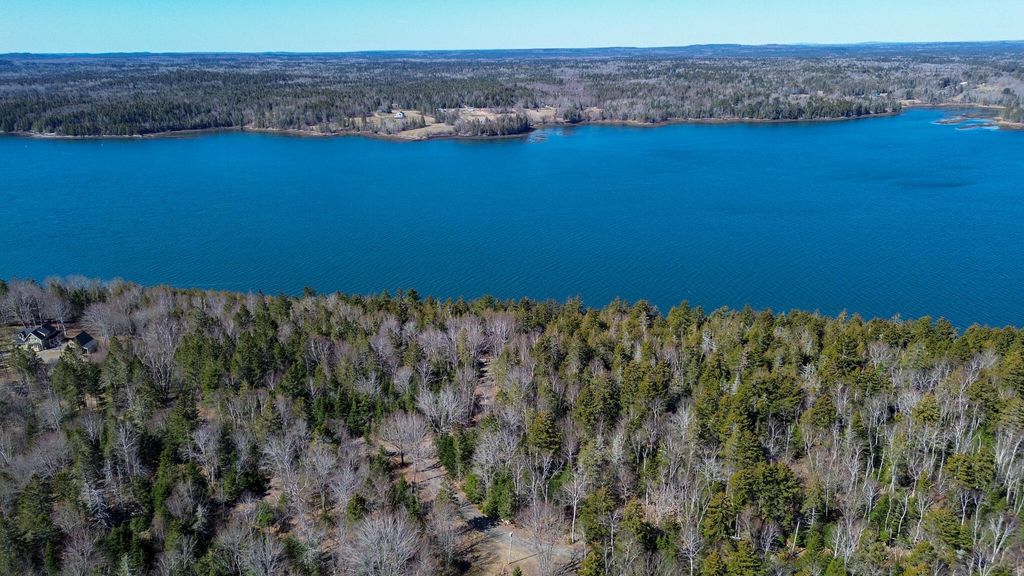 Photo of 9 Raft Cove Road, Trescott Twp, ME 04652 (MLS # 1657534)