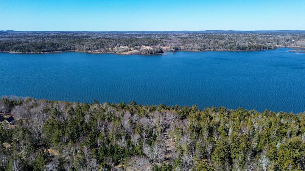 Photo of 9 Raft Cove Road, Trescott Twp, ME 04652 (MLS # 1657534)
