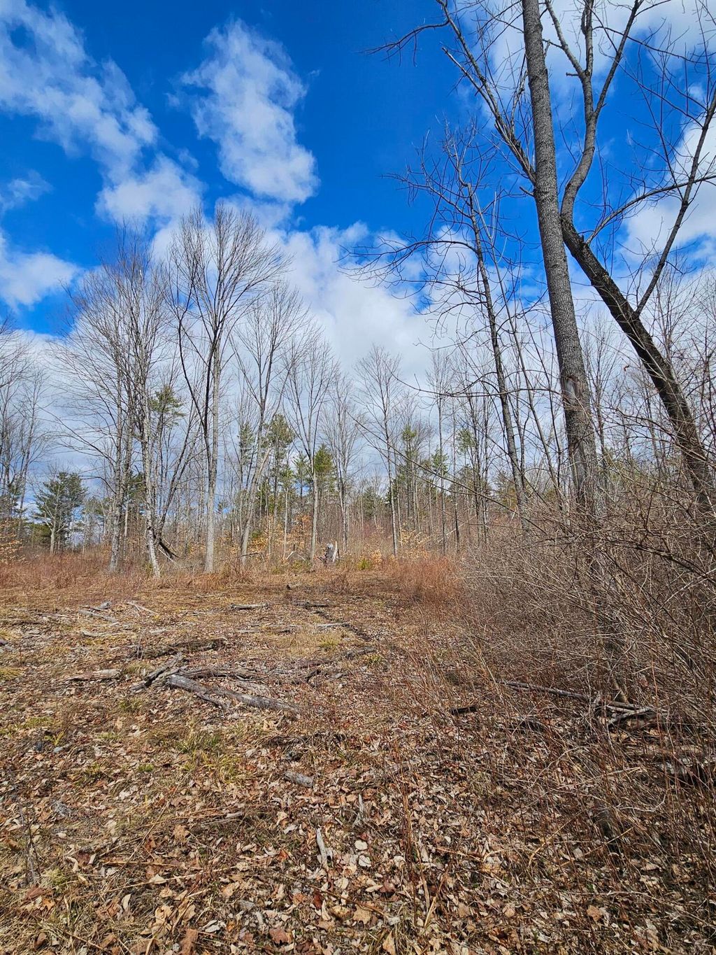 Photo of Lot 113-2 Cushman Road, Winslow, ME 04901 (MLS # 1658087)