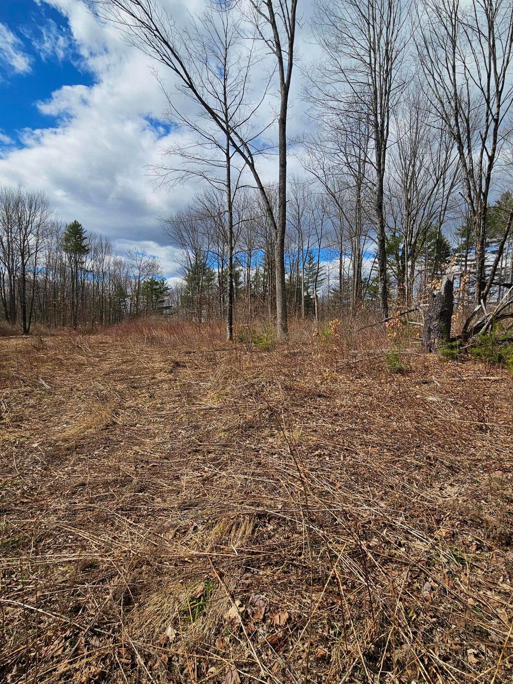 Photo of Lot 113-2 Cushman Road, Winslow, ME 04901 (MLS # 1658087)