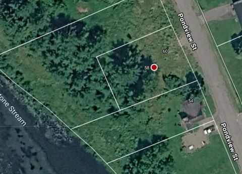 Photo of 58 Pondview Street, Limestone, ME 04750 (MLS # 1663842)