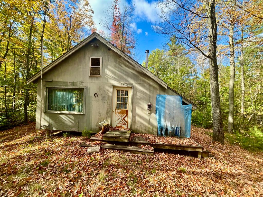 Photo of 270 Black Mountain Road, Sumner, ME 04292 (MLS # 1639516)