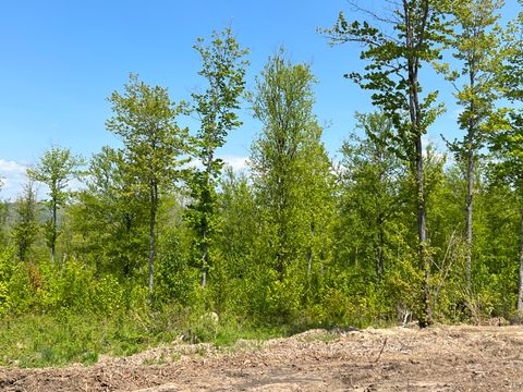 Photo of Lot 5B Harmony Row, Bethel, ME 04217 (MLS # 1629009)