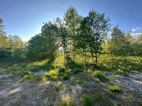 Photo of M06L01 Graffam Road, Casco, ME 04015 (MLS # 1616300)