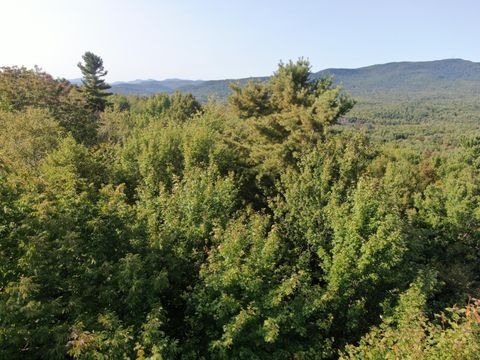 Photo of Lot# 55 Arlines Way, Woodstock, ME 04219 (MLS # 1637098)