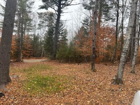 Photo of 54-1 Glass Hill Road Road, Guilford, ME 04443 (MLS # 1642286)