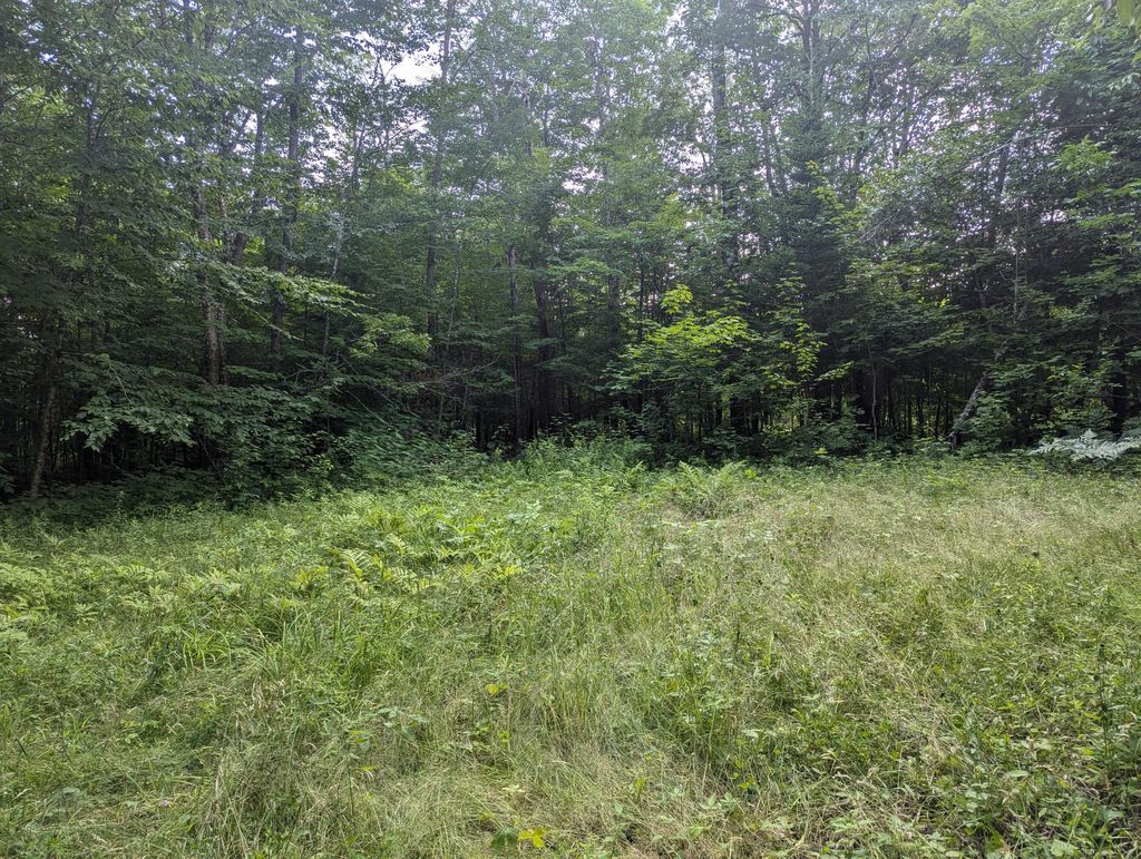 Photo of Lot 17 Quarry Avenue, Brownville, ME 04414 (MLS # 1652330)