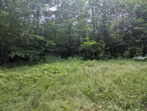Photo of Lot 17 Quarry Avenue, Brownville, ME 04414 (MLS # 1652330)