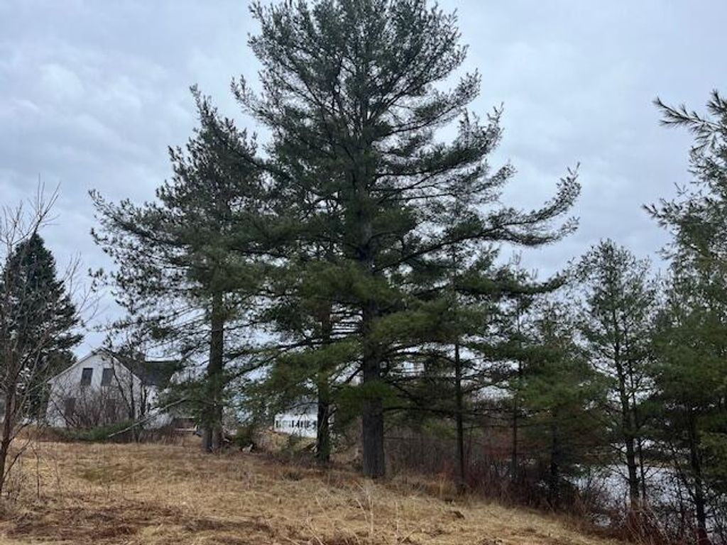 Photo of 60 Pondview Street, Limestone, ME 04750 (MLS # 1619893)