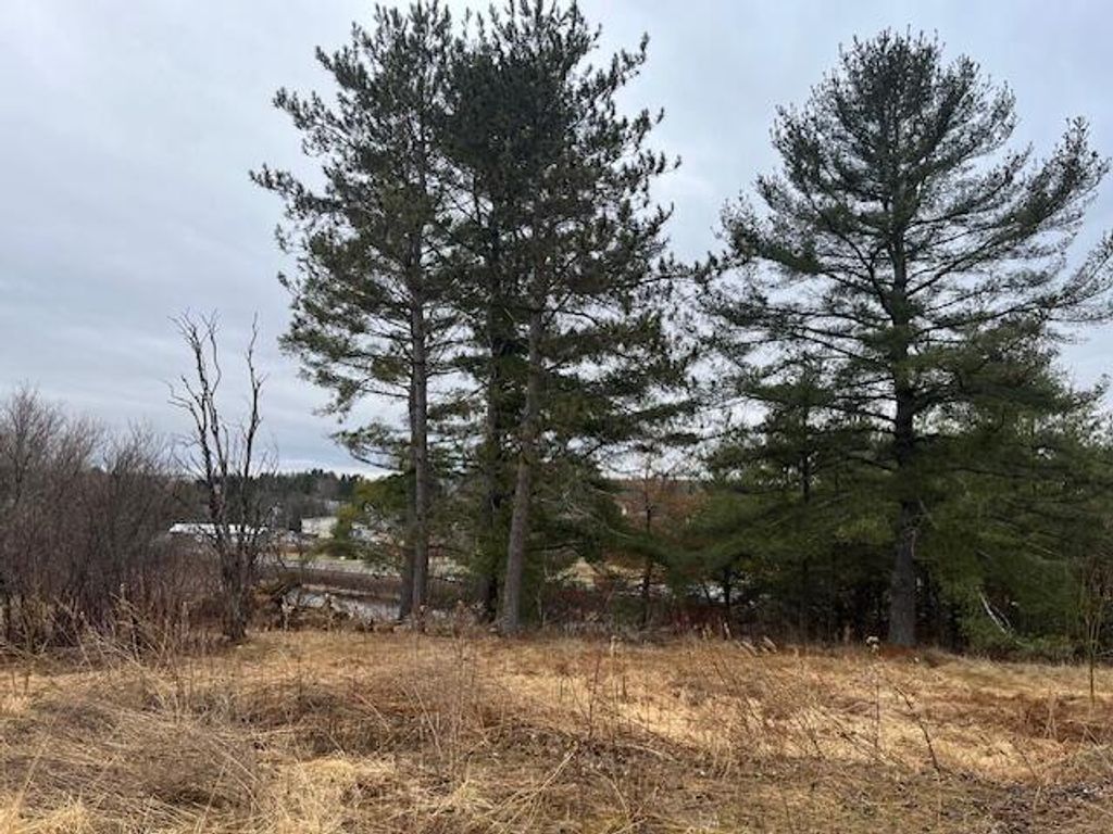 Photo of 60 Pondview Street, Limestone, ME 04750 (MLS # 1619893)