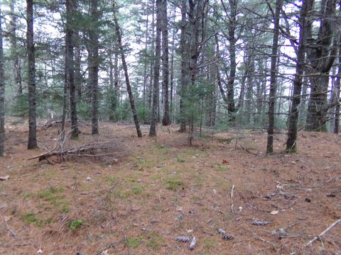 Photo of Lot 3E Rogers Point Road, Steuben, ME 04680 (MLS # 1642557)