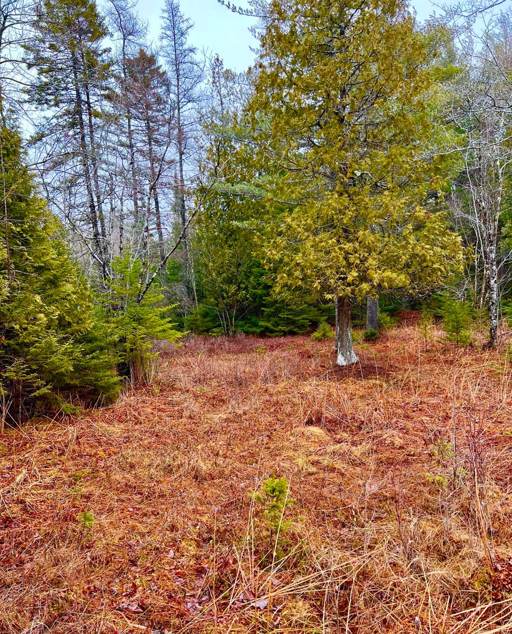 Photo of Lot 77-A Long Hill Road, Southwest Harbor, ME 04679 (MLS # 1653671)