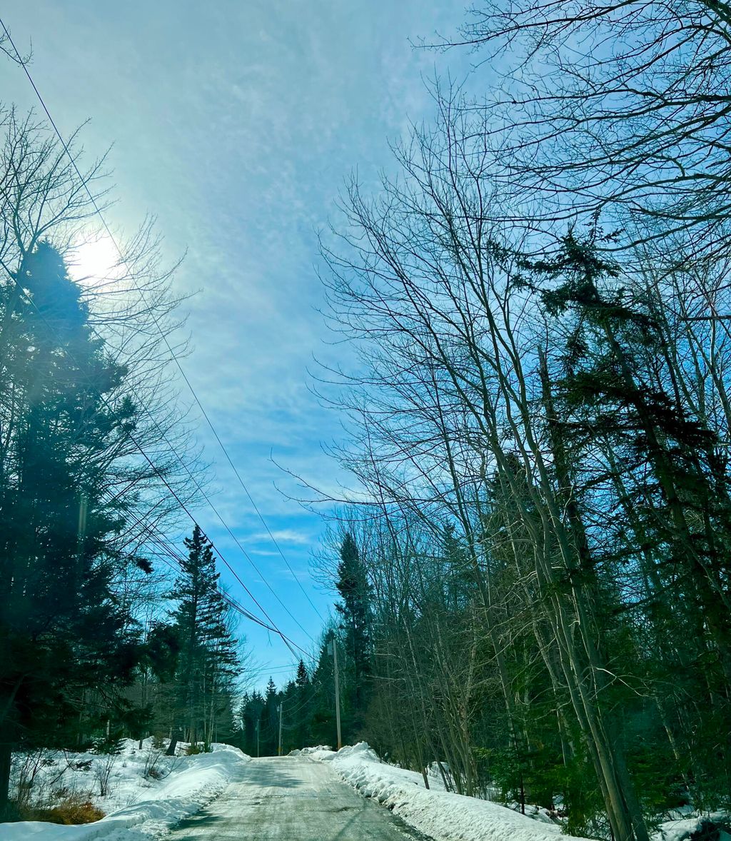 Photo of Lot 77-A Long Hill Road, Southwest Harbor, ME 04679 (MLS # 1653671)