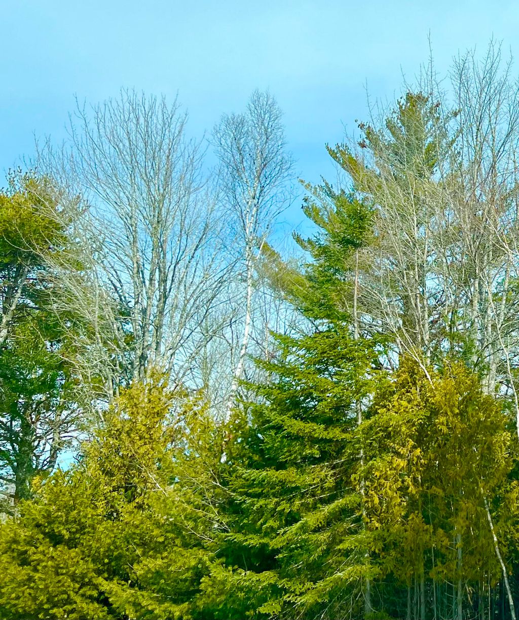 Photo of Lot 77-A Long Hill Road, Southwest Harbor, ME 04679 (MLS # 1653671)