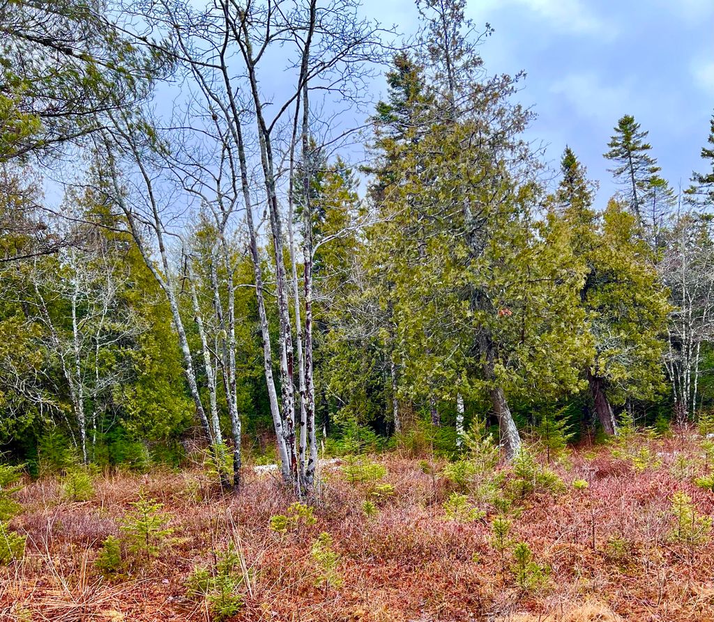 Photo of Lot 77-A Long Hill Road, Southwest Harbor, ME 04679 (MLS # 1653671)