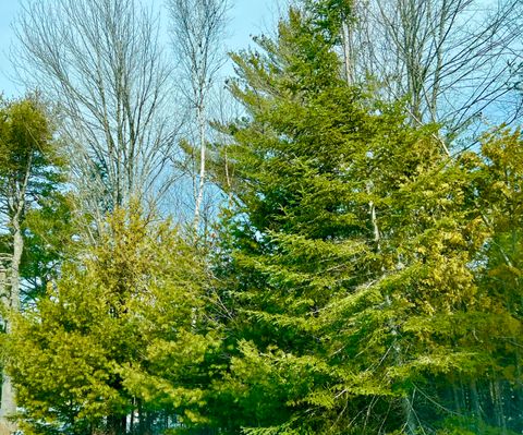 Photo of Lot 77-A Long Hill Road, Southwest Harbor, ME 04679 (MLS # 1653671)