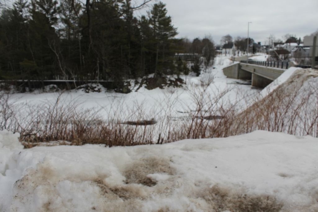 Photo of 6 Sherman Street, Island Falls, ME 04747 (MLS # 1652554)