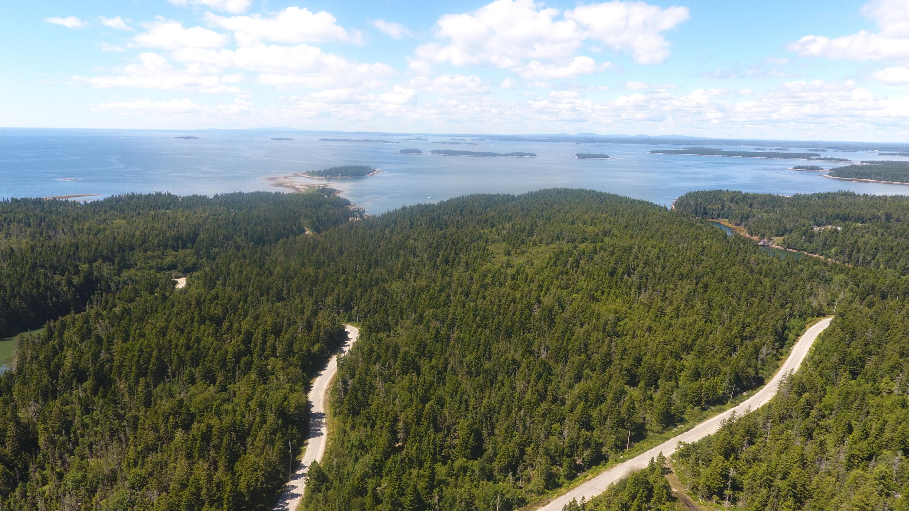 291 Black Duck Cove Road