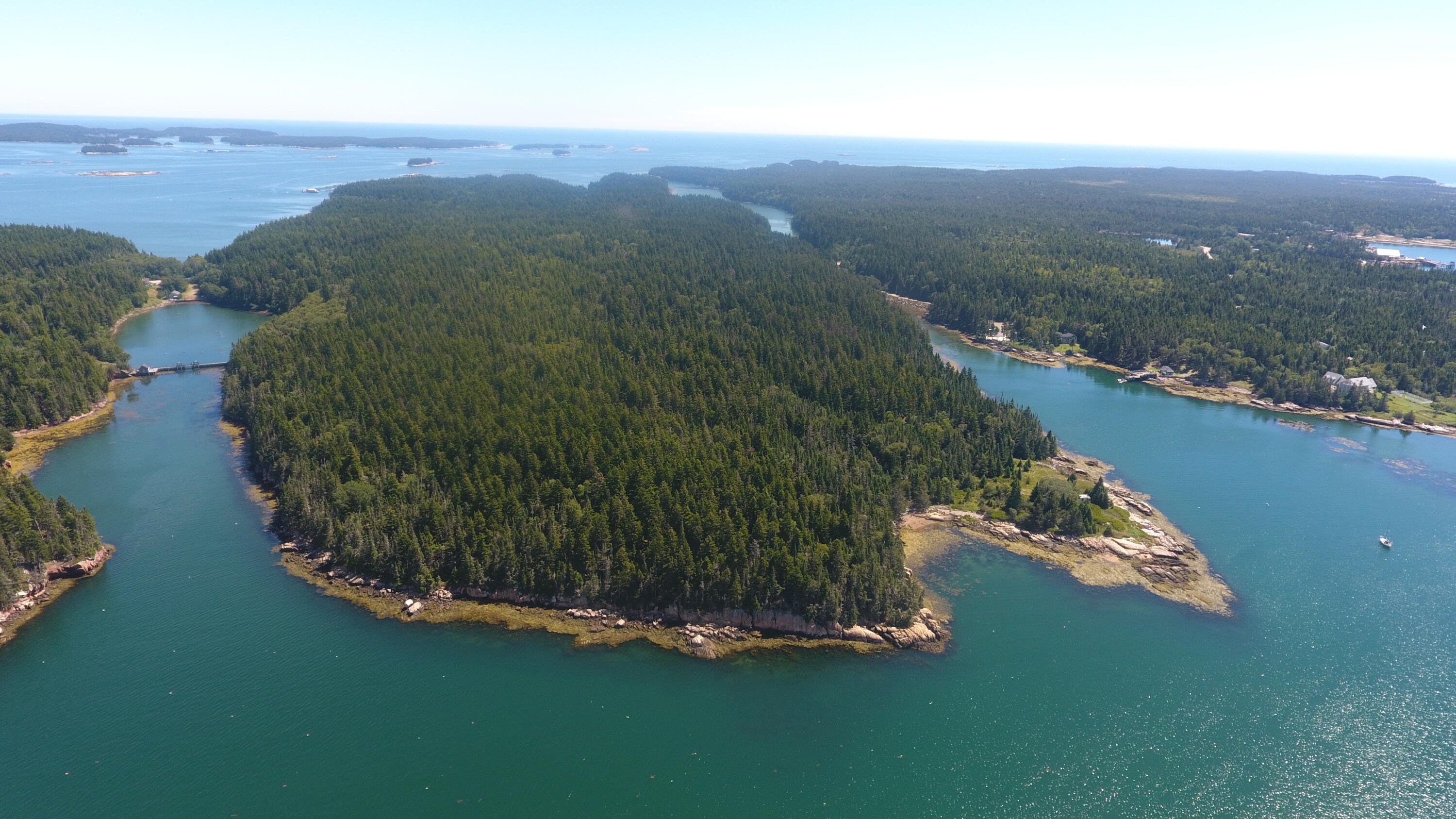 291 Black Duck Cove Road