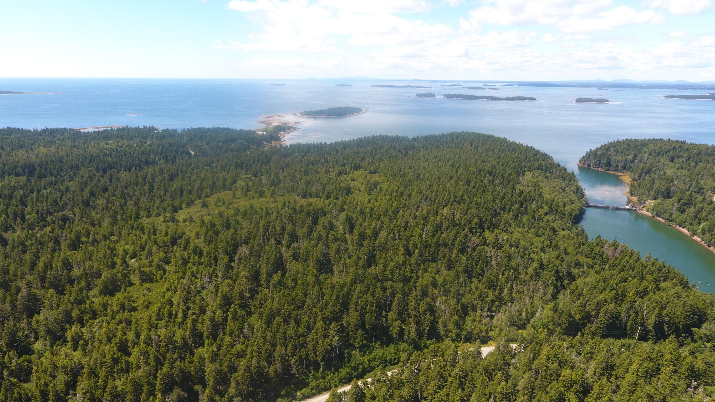 291 Black Duck Cove Road
