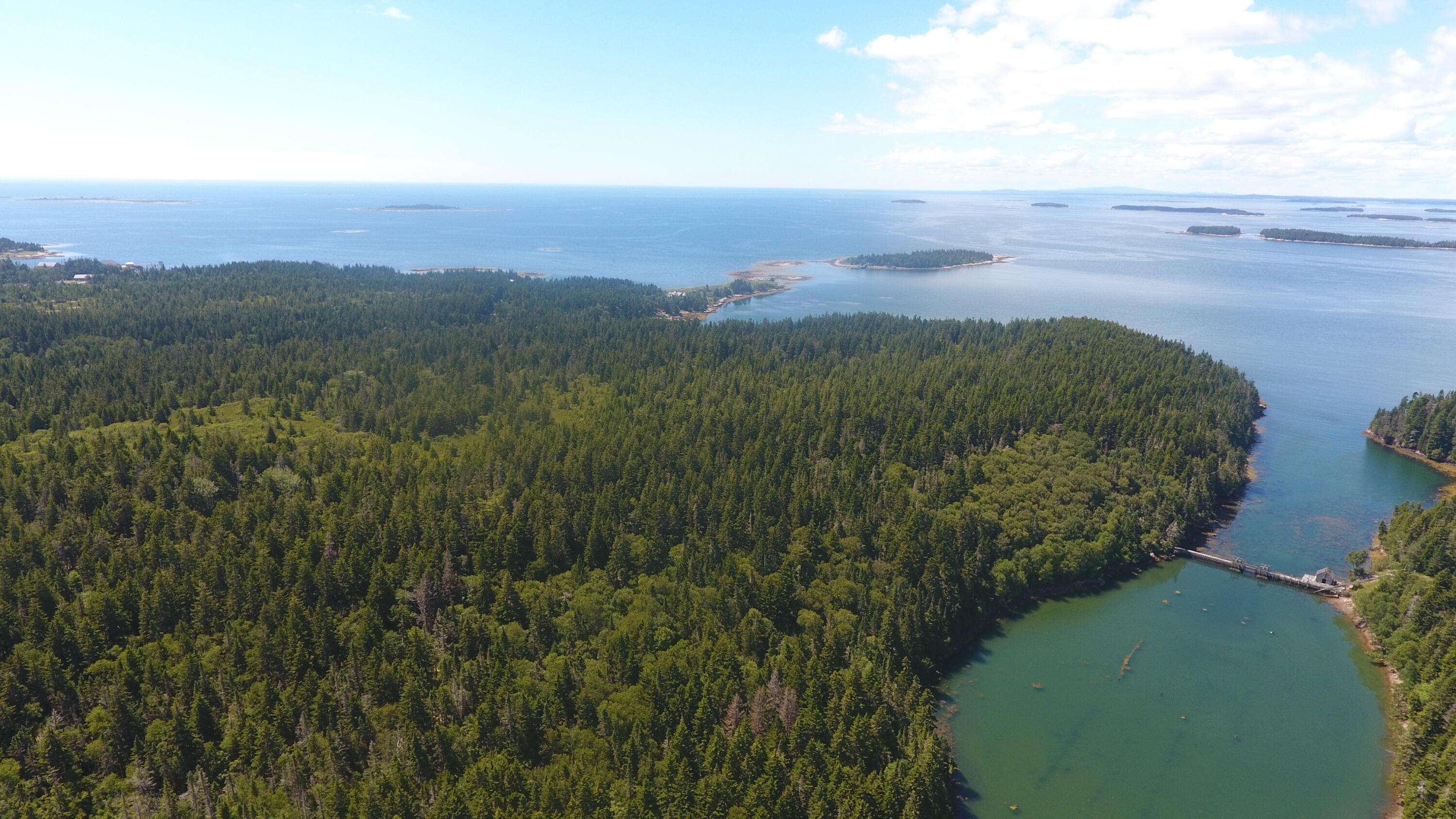 291 Black Duck Cove Road