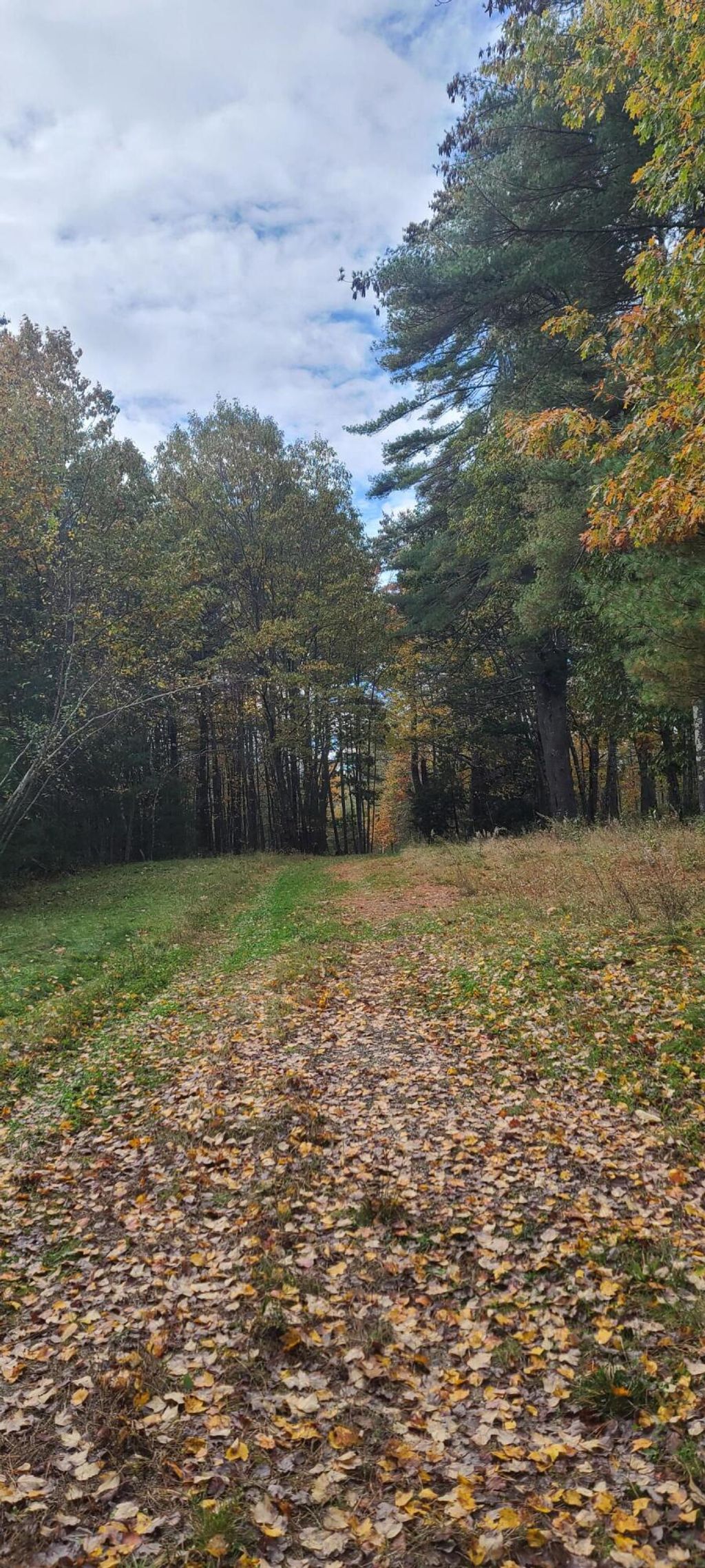 Photo of 96C Broadturn Road, Scarborough, ME 04074 (MLS # 1661550)