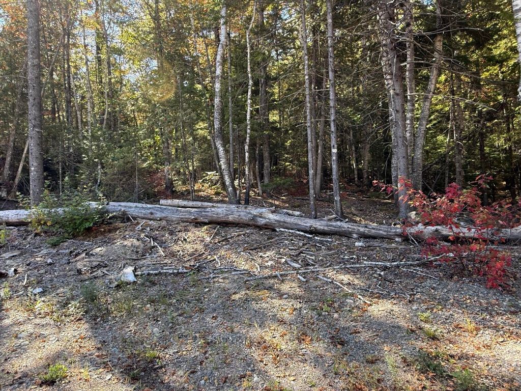 Photo of 202 Ayers Junction Road, Pembroke, ME 04666 (MLS # 1640583)