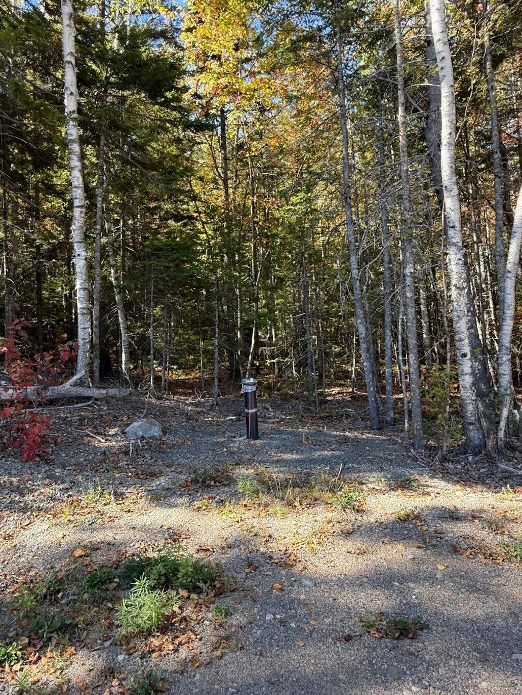 Photo of 202 Ayers Junction Road, Pembroke, ME 04666 (MLS # 1640583)