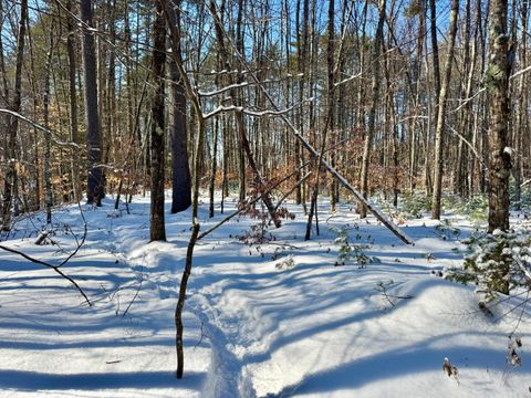 Photo of TBD Swans Falls Road #Lot B, Fryeburg, ME 04037 (MLS # 1650198)