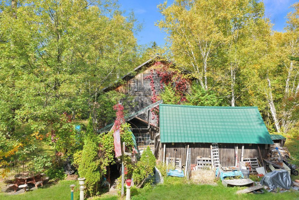 Photo of 1469 Van Buren Road, Caswell, ME 04750 (MLS # 1640264)