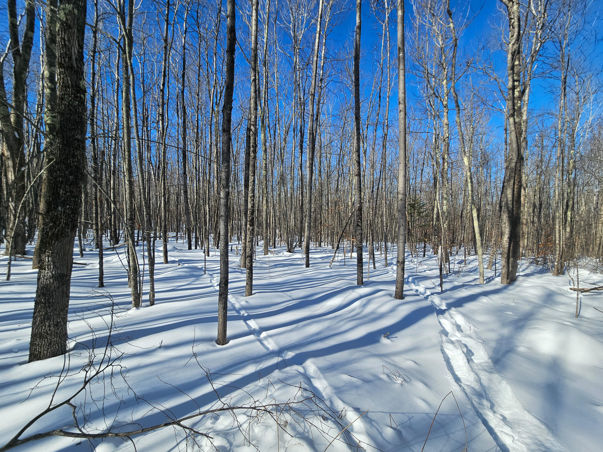 M-17 L-15 York Hill Road