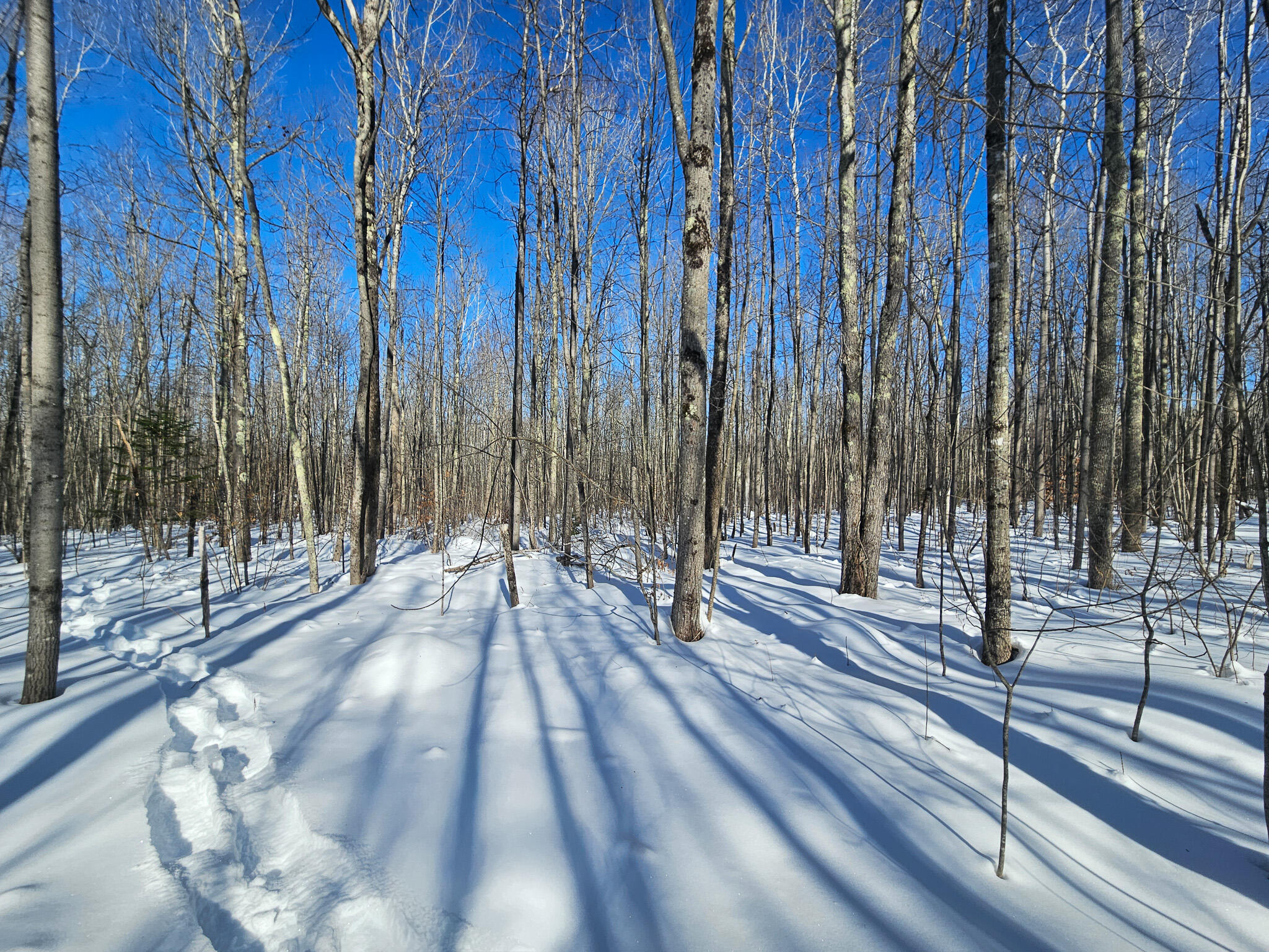 M-17 L-15 York Hill Road