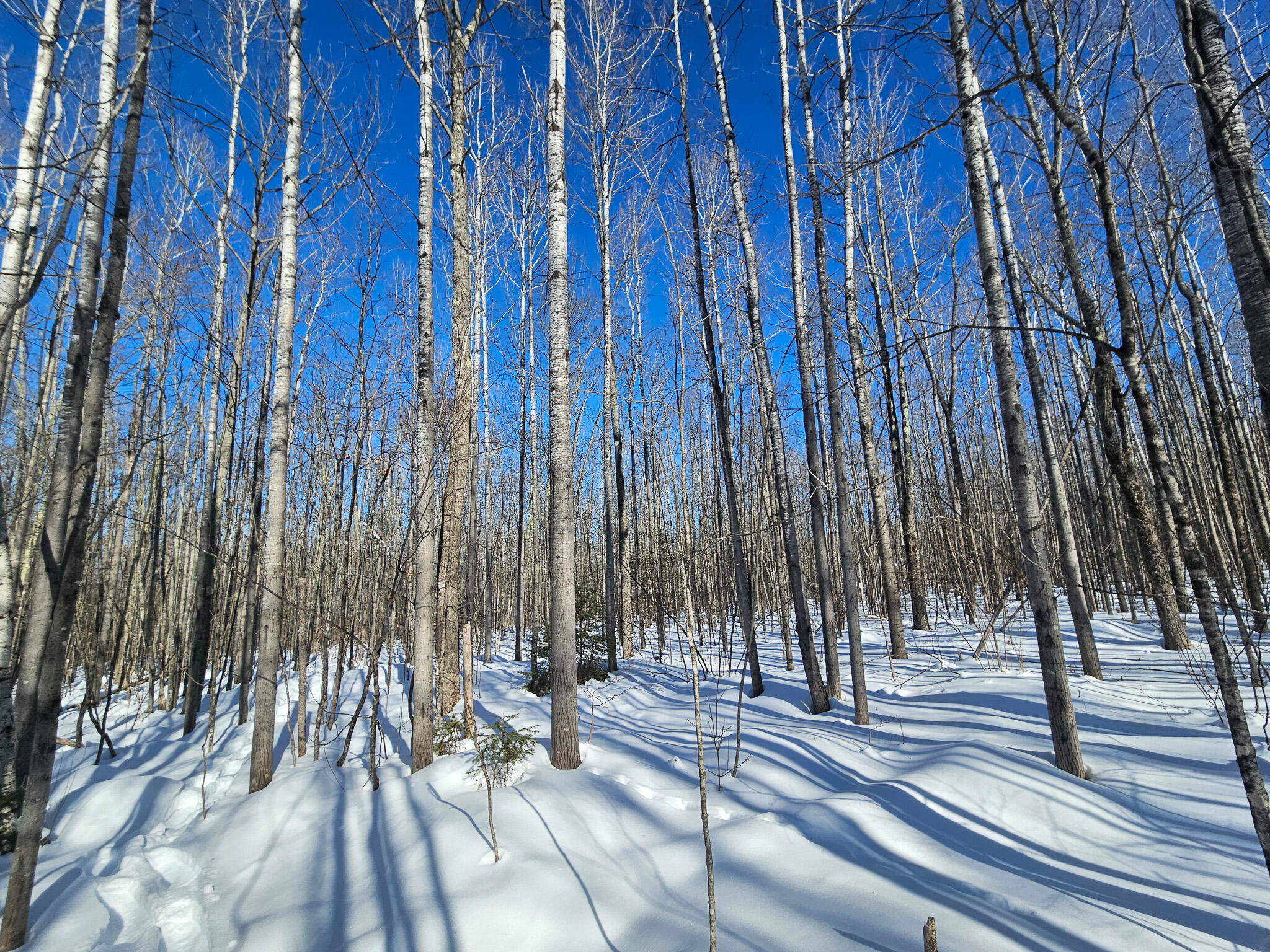 M-17 L-15 York Hill Road