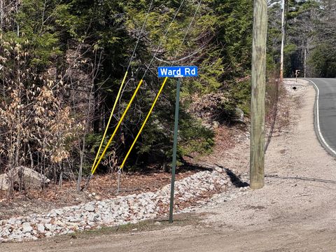Photo of 11 Ward Road, Sebago, ME 04029 (MLS # 1658514)