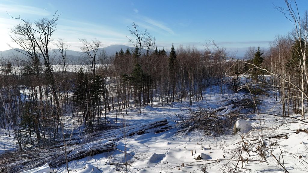 Photo of Lot 12 Blair Hill Road, Greenville, ME 04441 (MLS # 1648768)