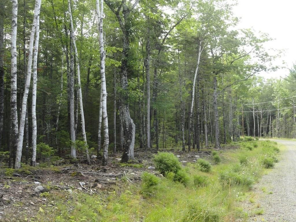 Photo of 6 Bluff Road, Bar Harbor, ME 04609 (MLS # 1649987)