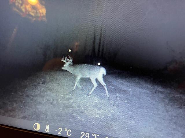 Newburgh, Maine 04444, United States, 3 Bedrooms Bedrooms, ,1 BathroomBathrooms,Residential,Pending,26167