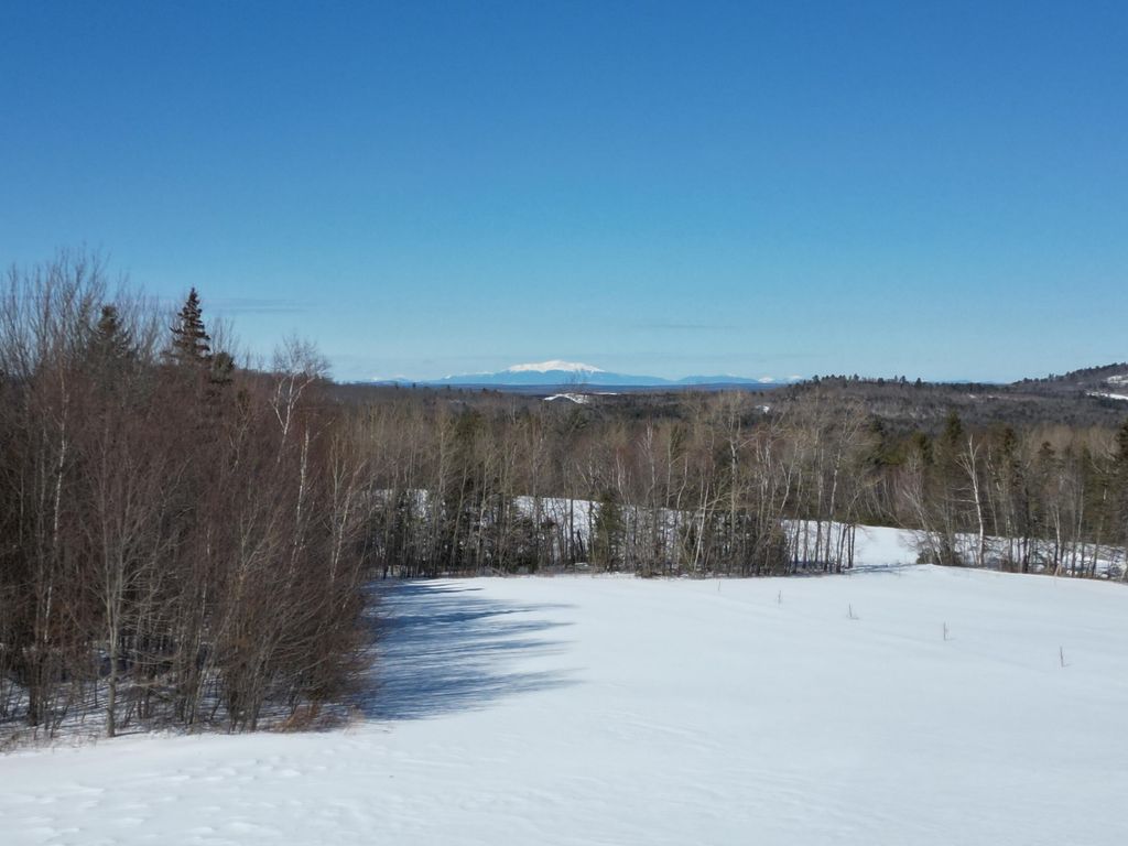 Photo of 303 Phinney Farm Road, Lincoln, ME 04457 (MLS # 1653392)