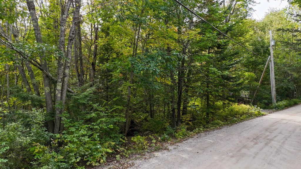 Photo of 0 Plummer Drive, Raymond, ME 04071 (MLS # 1639258)