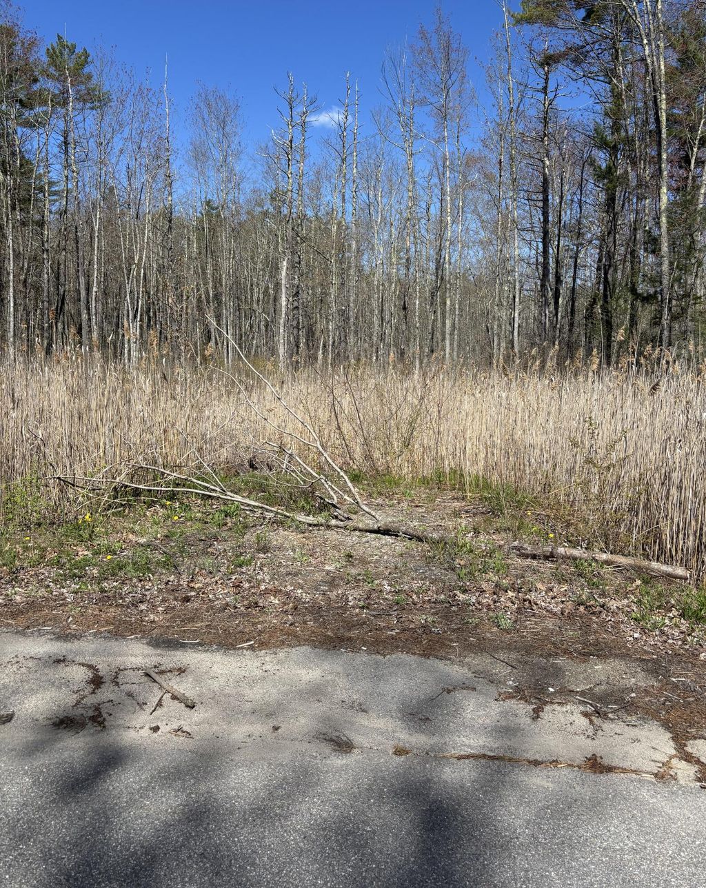 Photo of 15 Woodhaven Drive, Kennebunk, ME 04043 (MLS # 1661554)