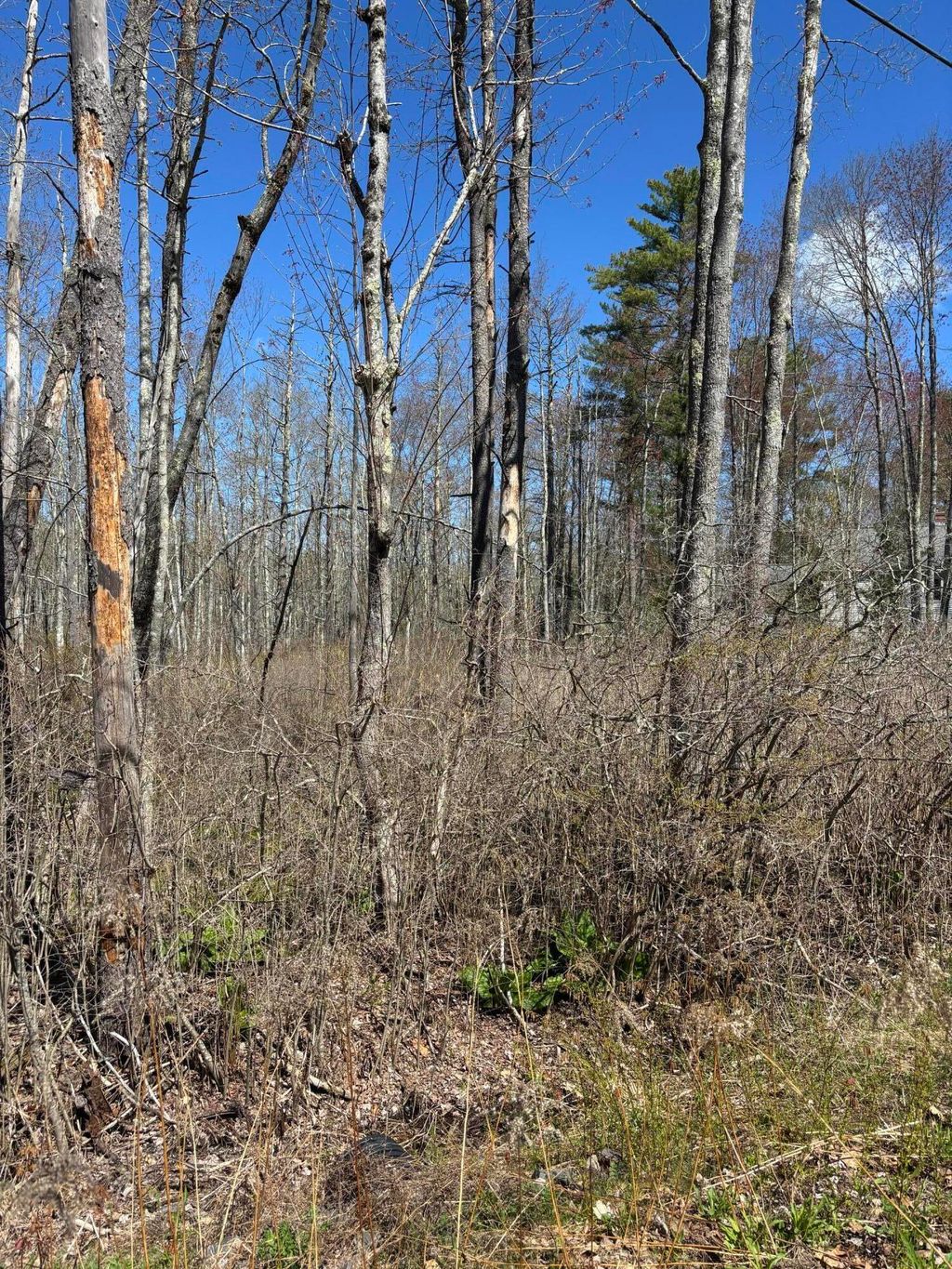 Photo of 15 Woodhaven Drive, Kennebunk, ME 04043 (MLS # 1661554)