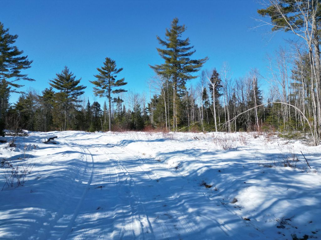 Photo of Lot 4A Off Morgan Road, Burnham, ME 04922 (MLS # 1651649)