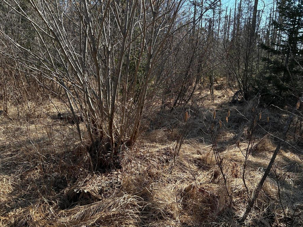 Photo of 365 Cushing Road, Cushing, ME 04563 (MLS # 1663424)