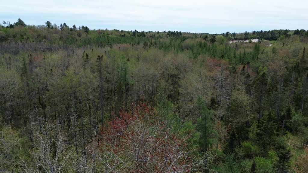 Photo of 365 Cushing Road, Cushing, ME 04563 (MLS # 1663424)