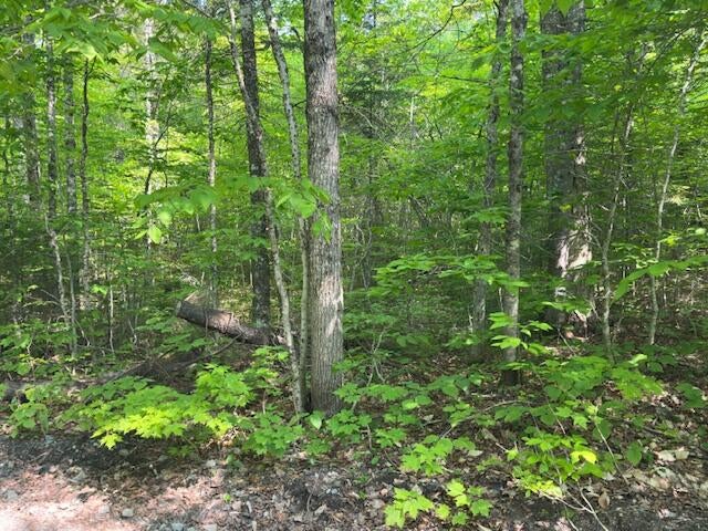 Photo of Lot 1 Scammon Road, Greenville, ME 04441 (MLS # 1625666)