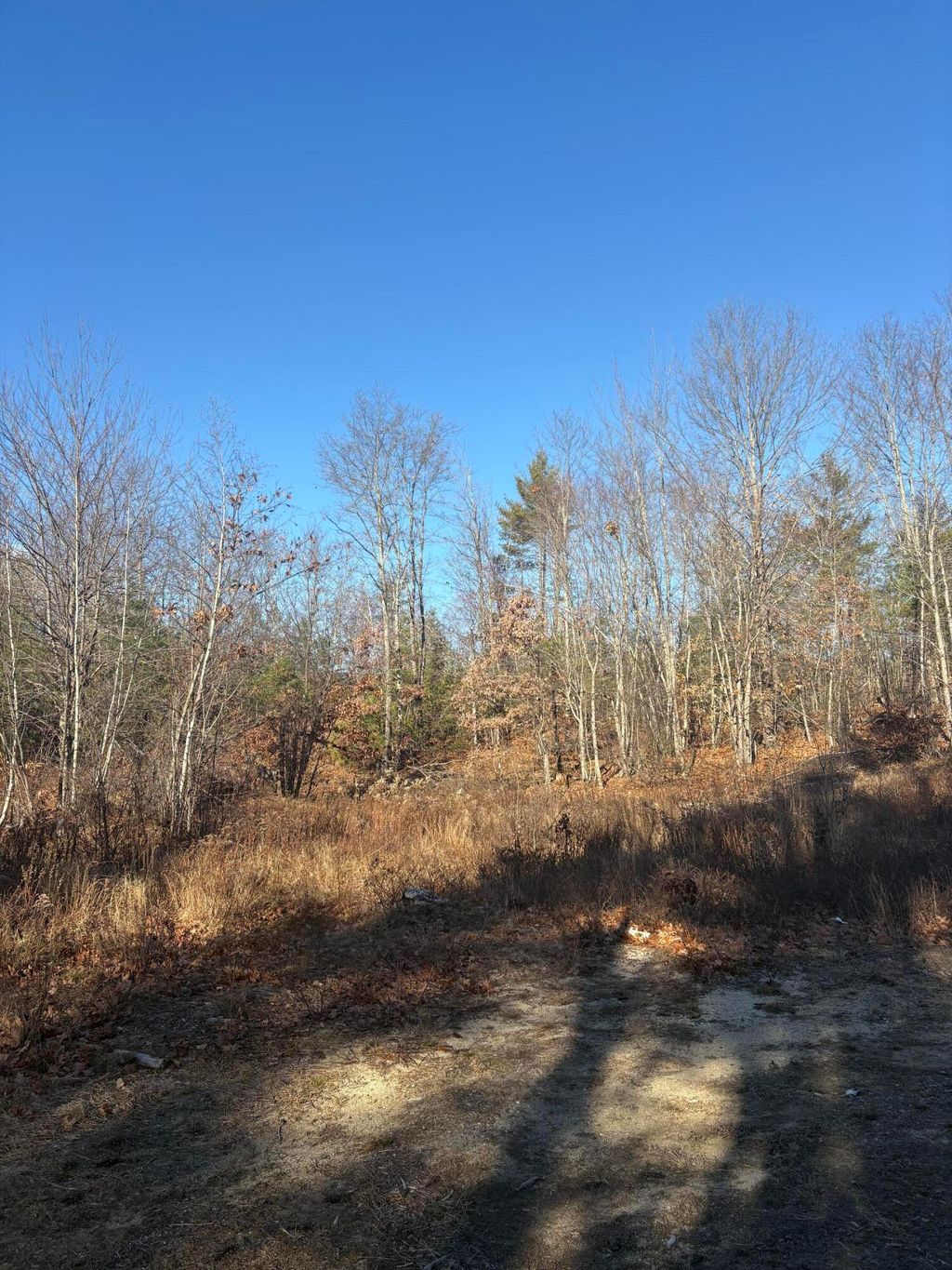 Photo of Lot 4 Baldwin Rd (Route 11), Baldwin, ME 04024 (MLS # 1644482)